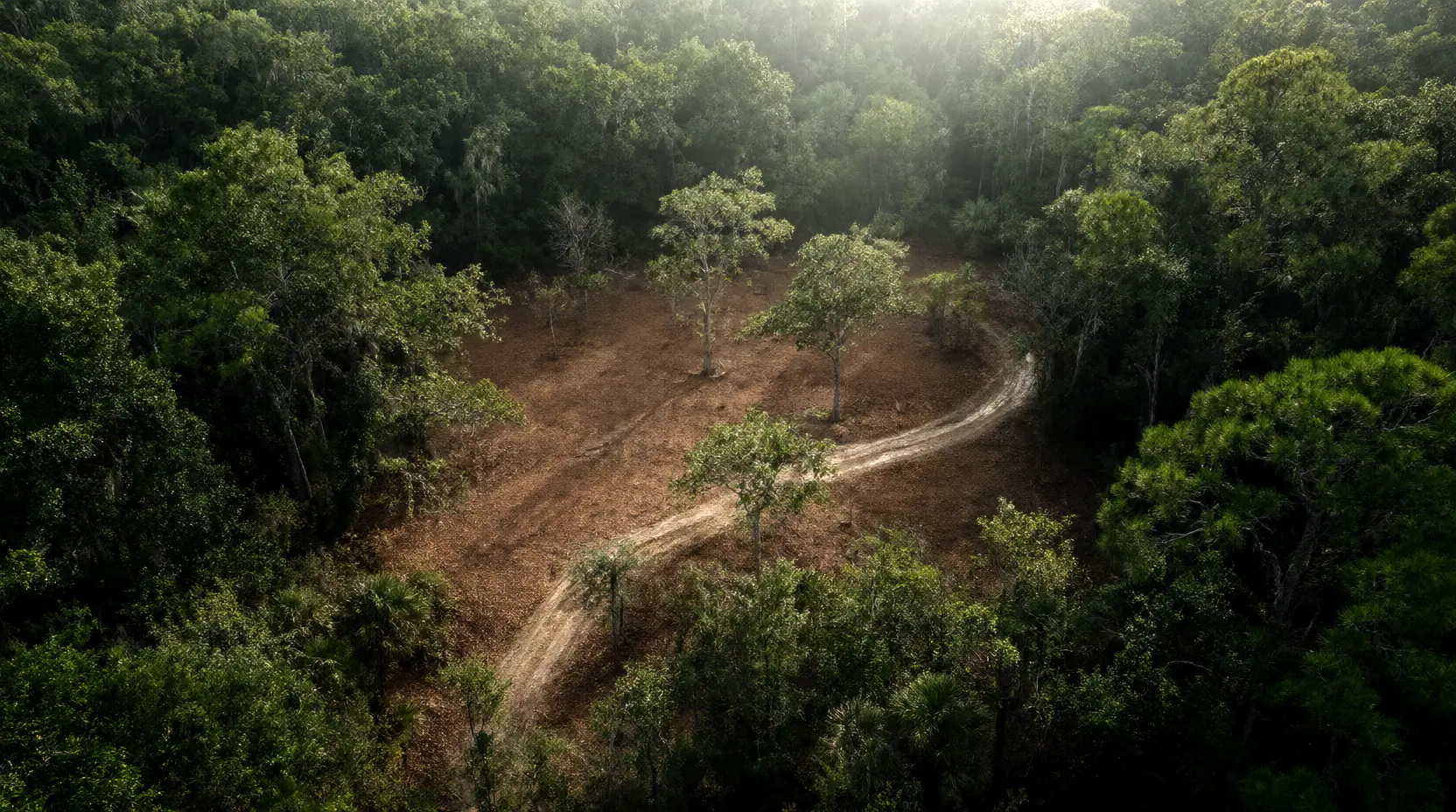 Aerial view of a sand access lane cut through dense hammock woods, forestry mulching in Duval County, FL